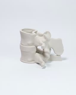 Vertebra - Pen Organizer 3d model