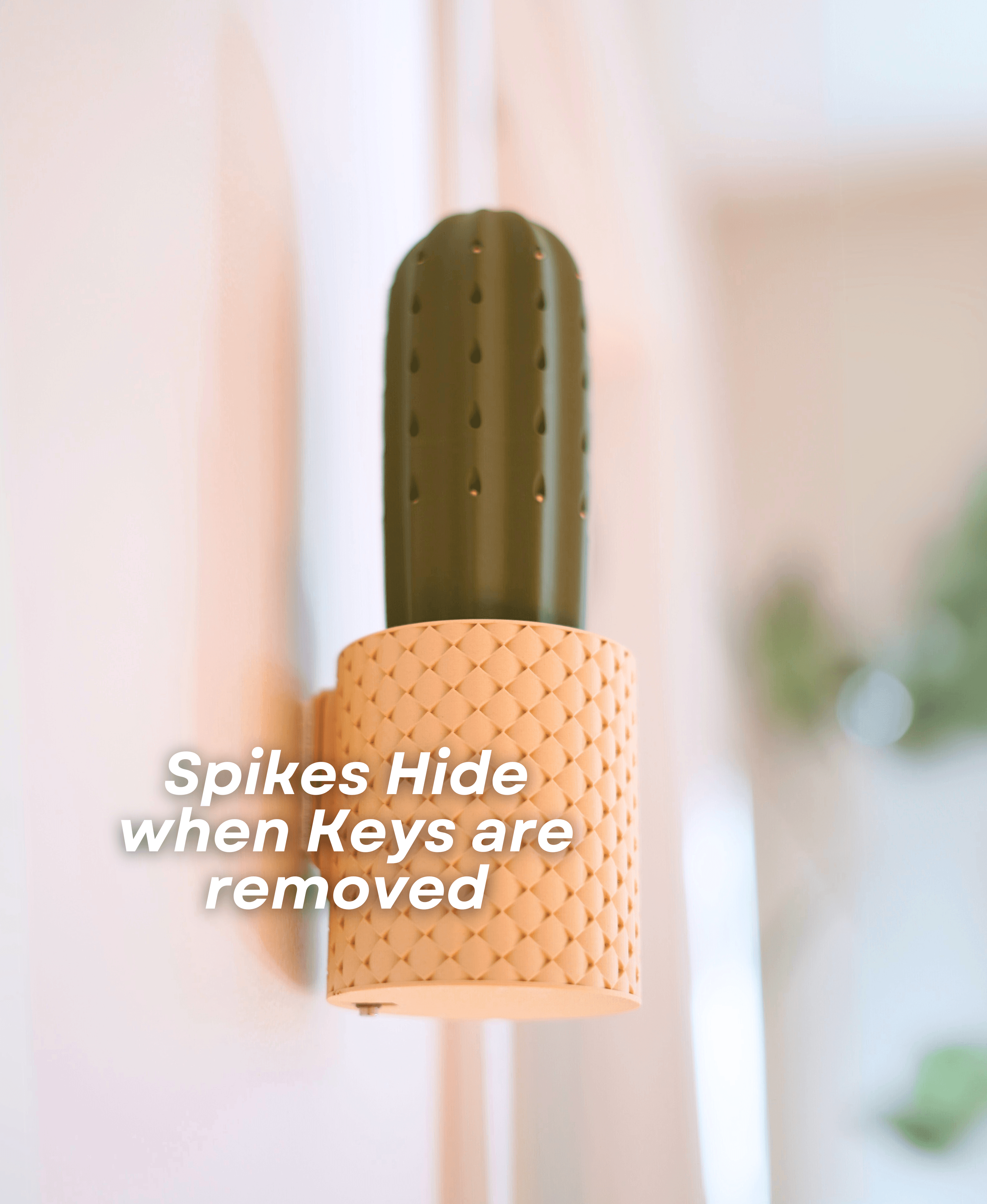SpiKey - The Cactus Wall Mounted Keyholder 3d model