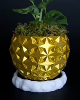 Moss Dish/Frame for 100mm Chunky Puck Drip Tray 3d model