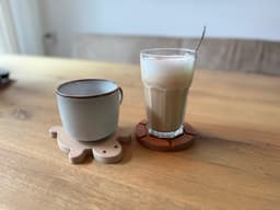 Turtle Coaster 3d model