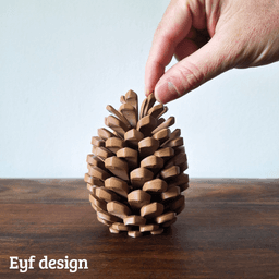 Pine cone Coasters 3d model