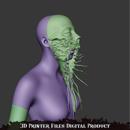 Miko Sakuko-Like Entity Cosplay Mask Silent Hill F 3d model