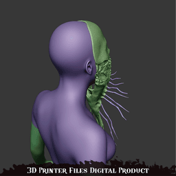 Miko Sakuko-Like Entity Cosplay Mask Silent Hill F 3d model