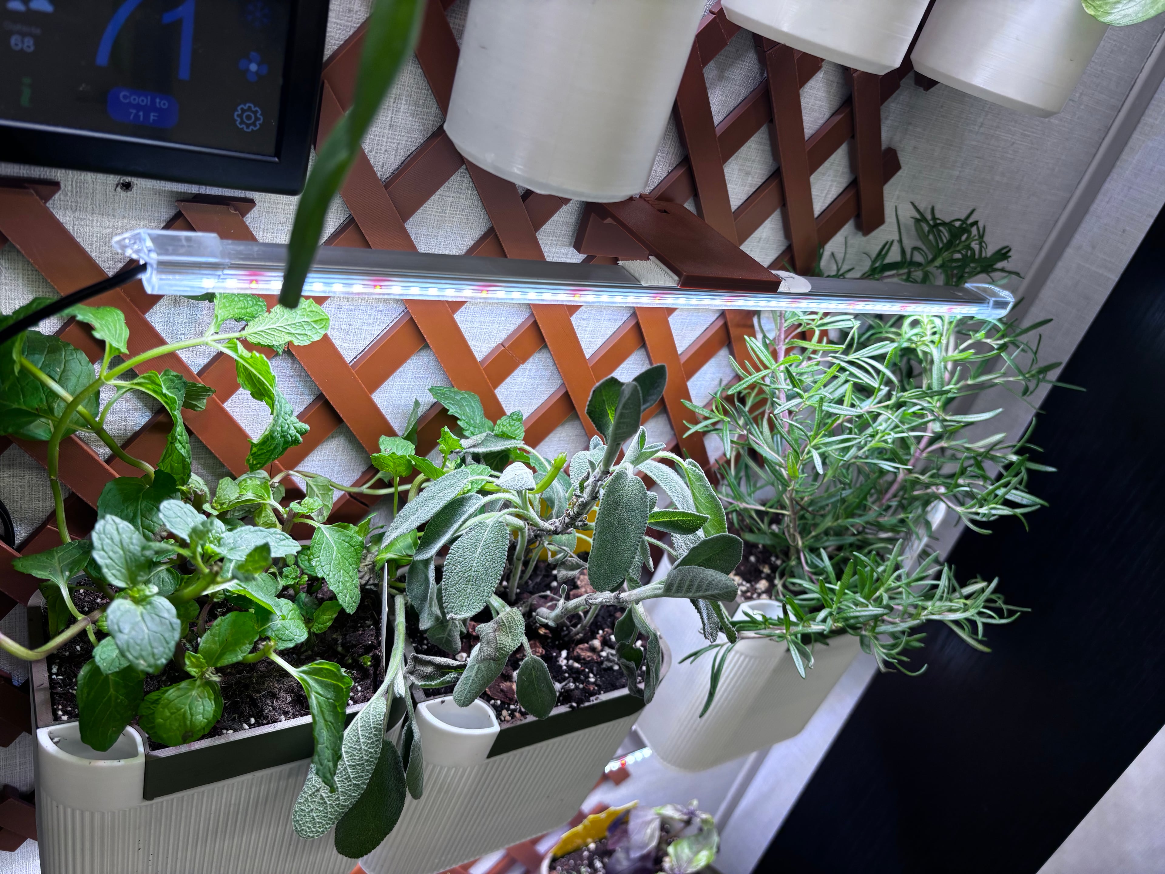 The grow light and adapters for the pots made this trellis so much more functional π₯³
This is on a wall of our camper where a slide comes in so taking things off the trellis is a must on travel days which these new additions made possible without new zip ties constantly being used