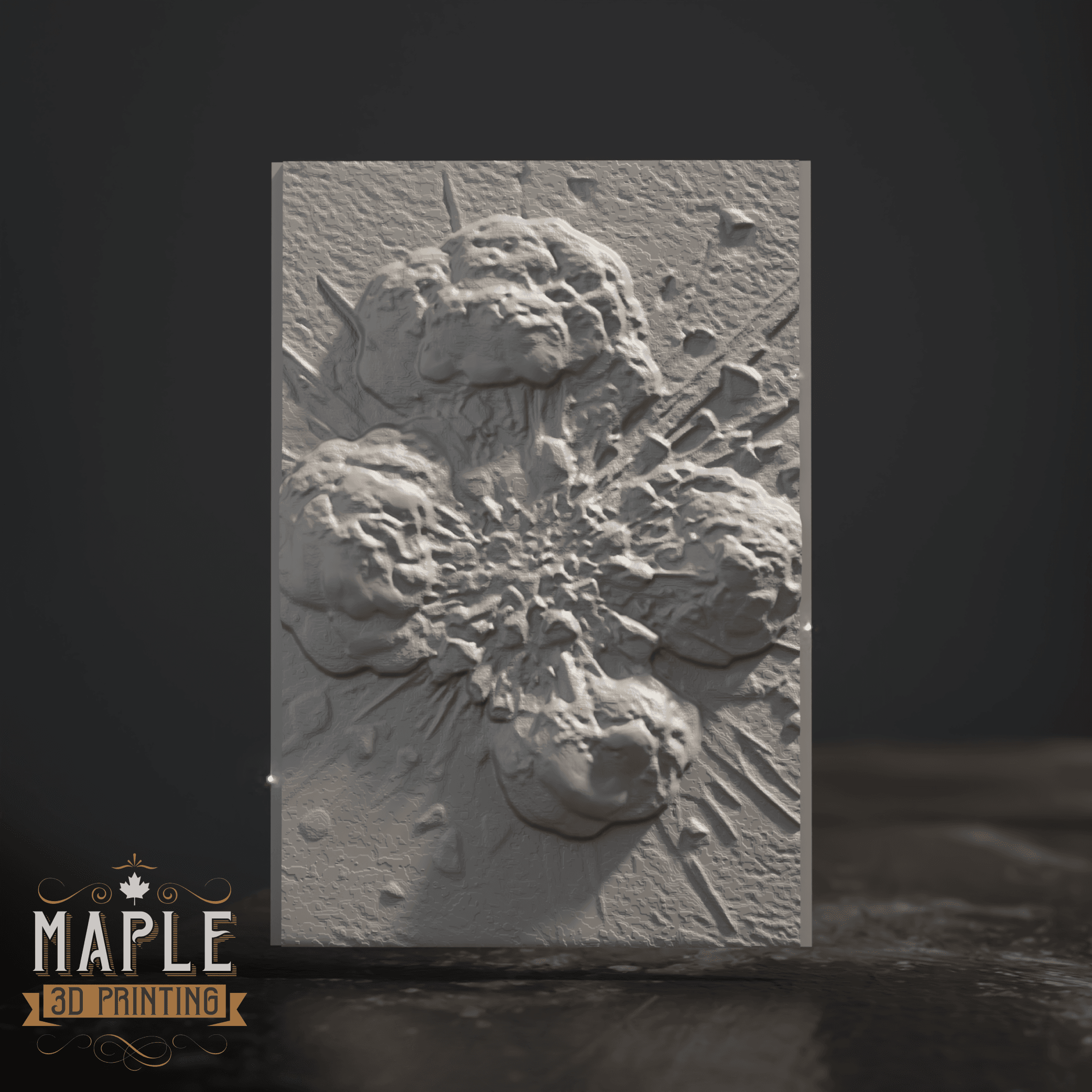 Display Box - Model Showcase - TCG Display 3d model