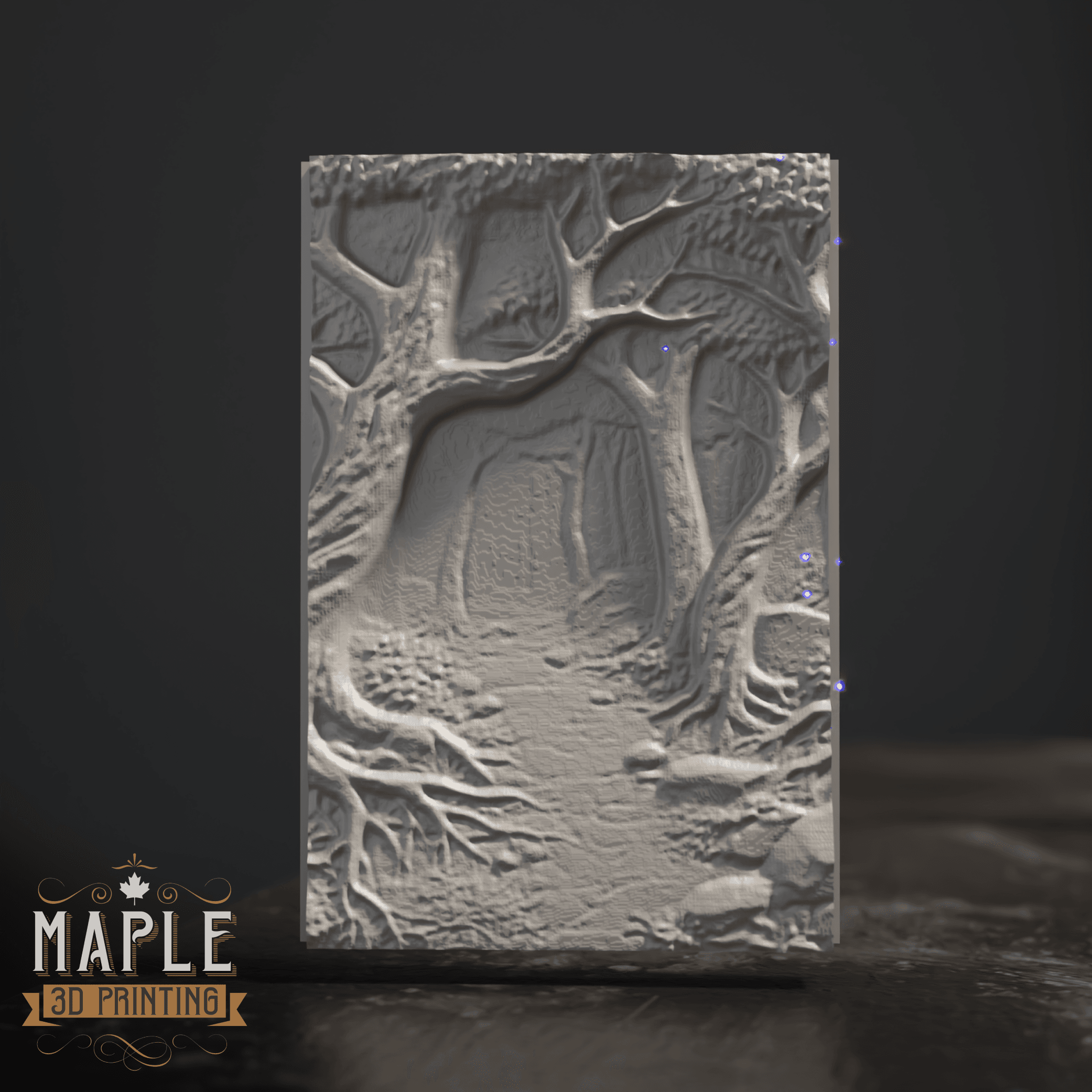 Display Box - Model Showcase - TCG Display 3d model