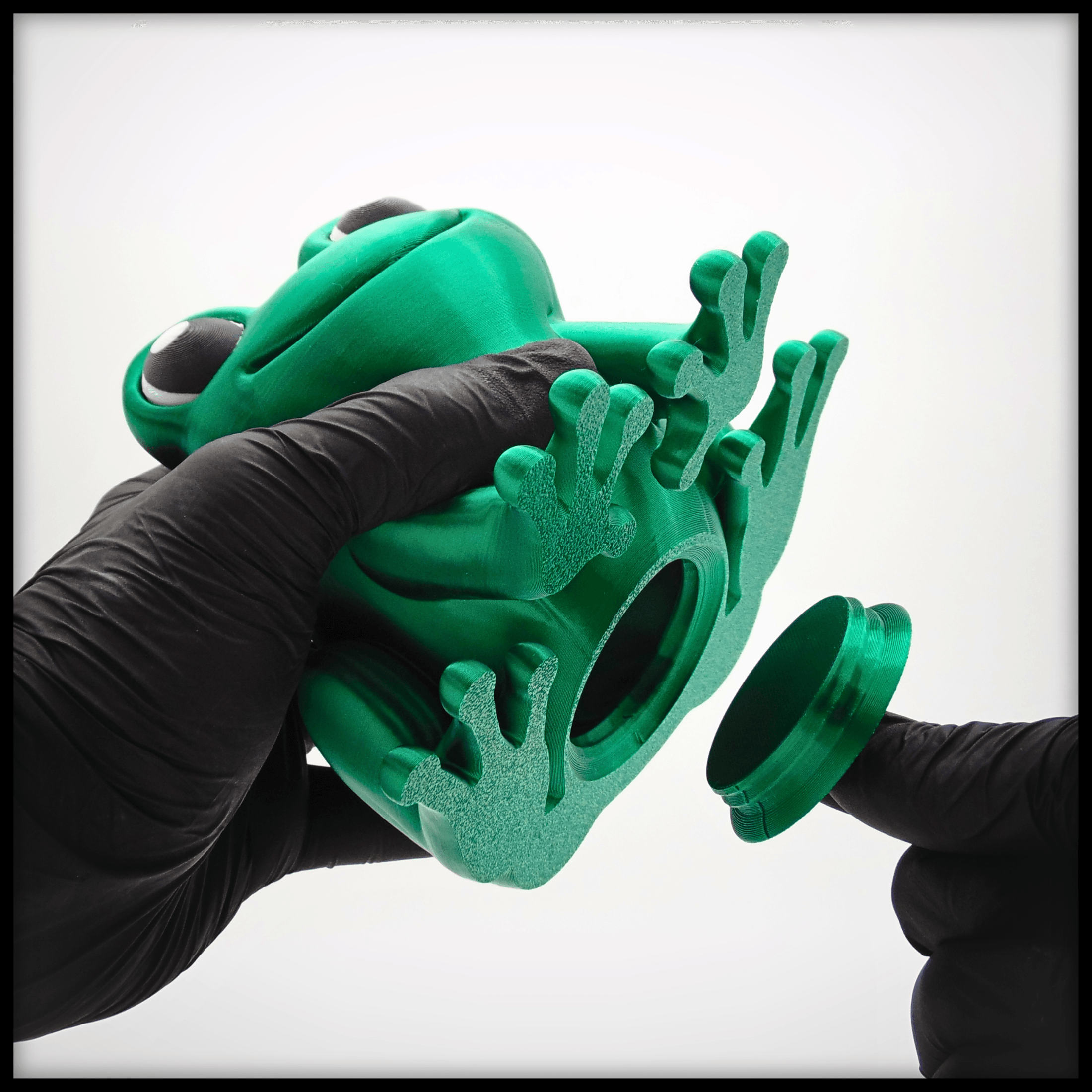 Frog Piggy Bank 3d model