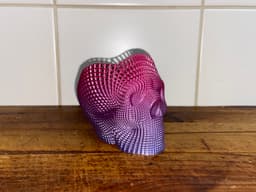 Wireframe skull pencil holder 3d model