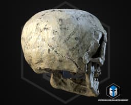 Ewok Skull - 3D Print Files 3d model