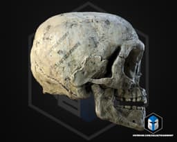 Ewok Skull - 3D Print Files 3d model