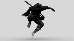Ninja Shadow Leap 3d model