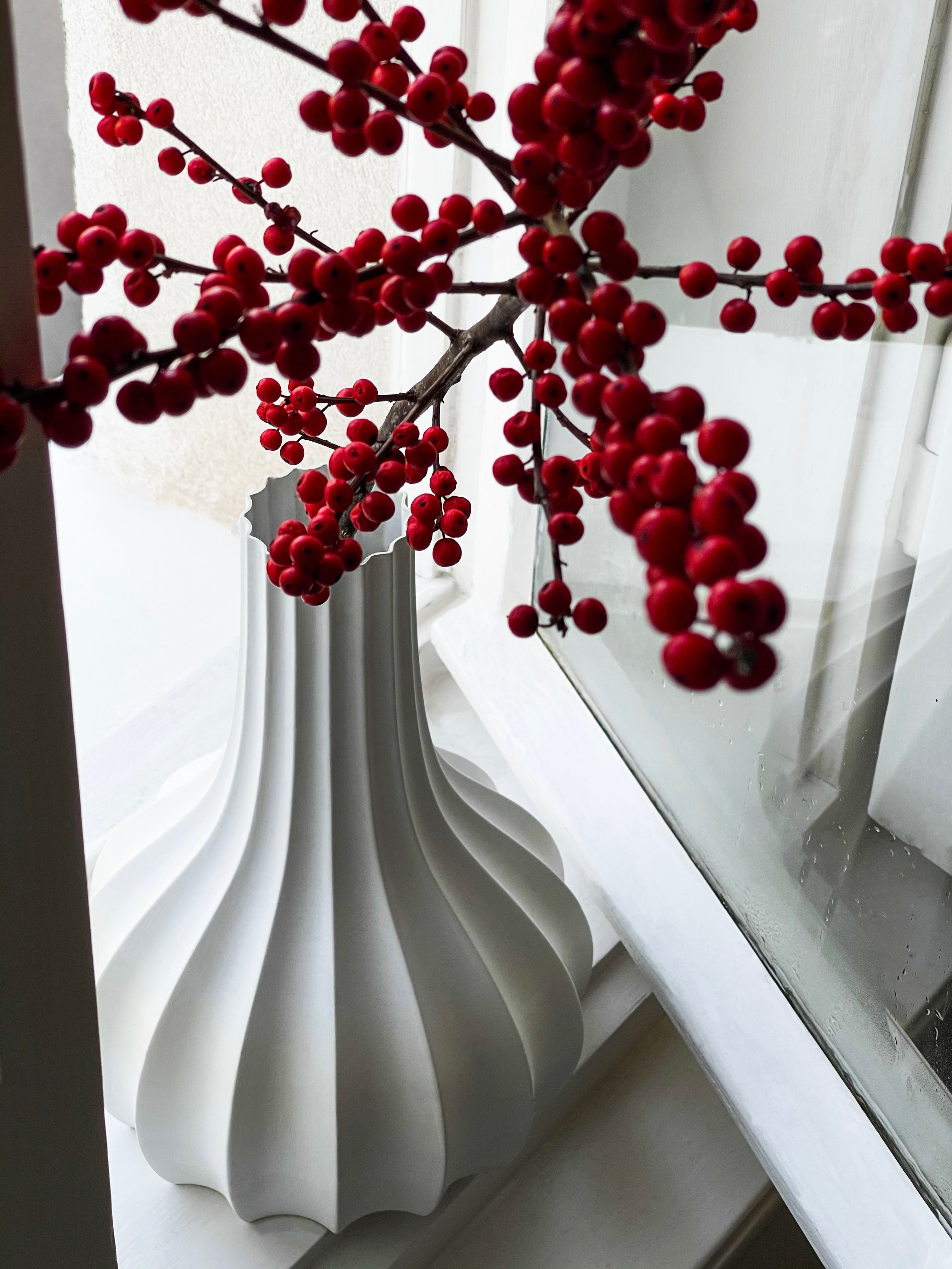 Meringue '20 3d model