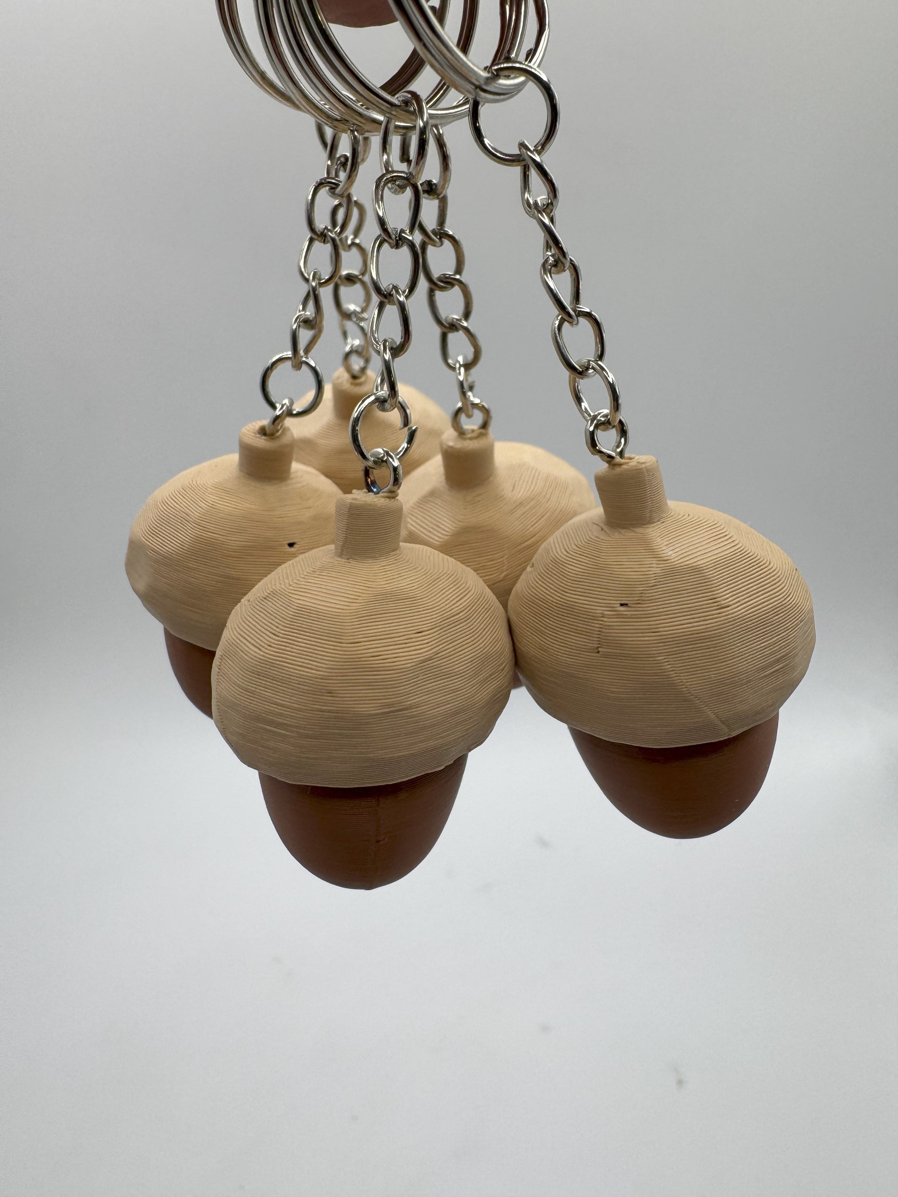 Acorn Clicker 3d model