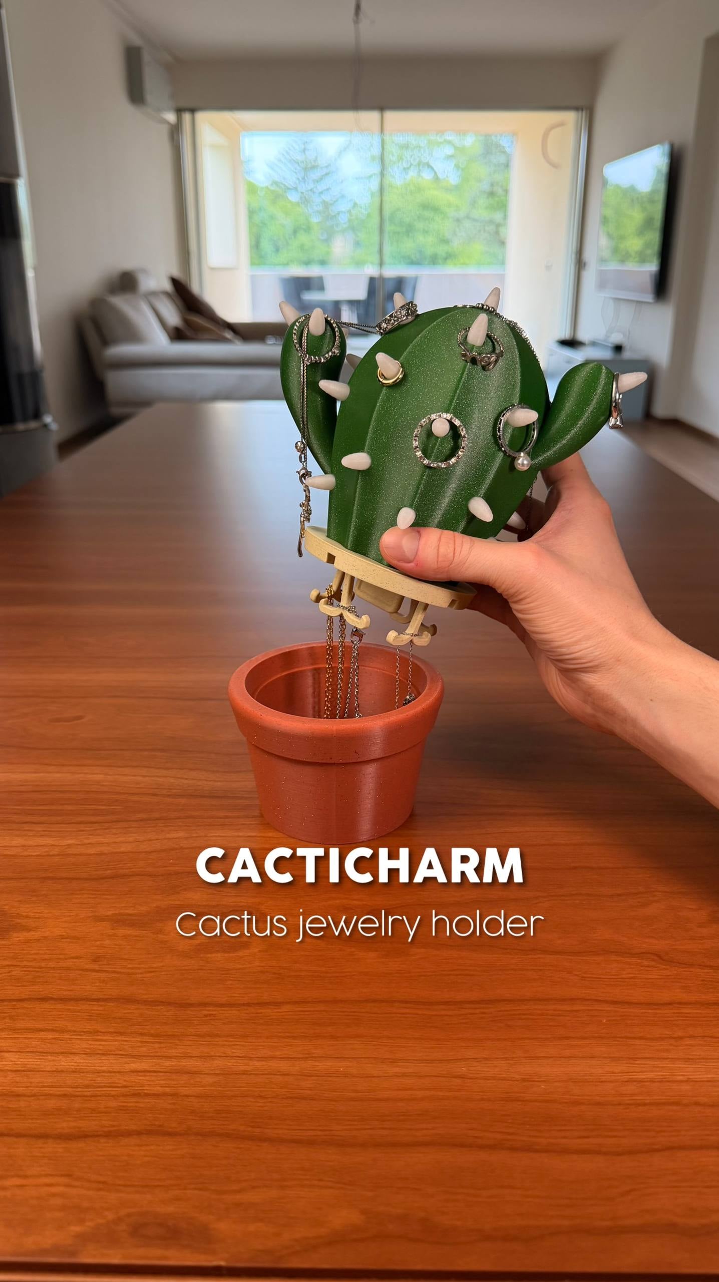 CACTICHARM | CACTUS JEWELRY HOLDER & LAMP 3d model