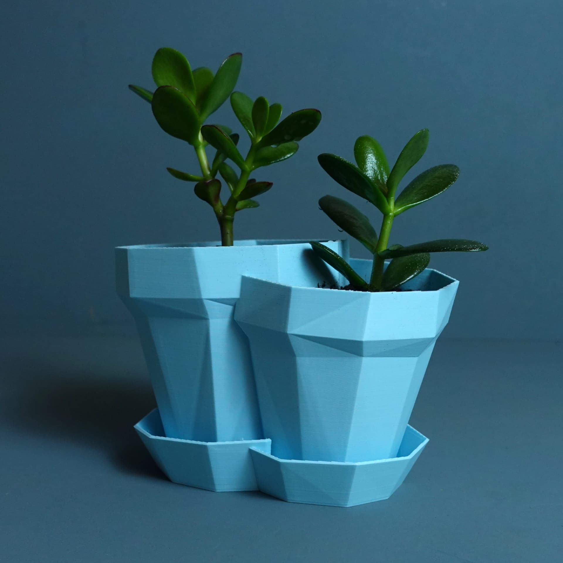 Planter “Double Glitch” 3d model