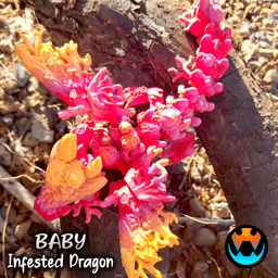 Baby Infested Dragon 3d model