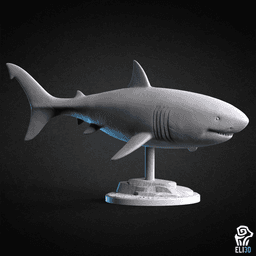 Animals - Ocean Wildlife 3d model