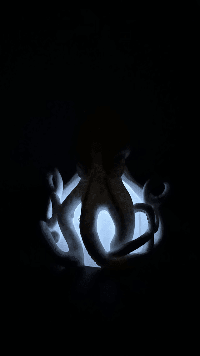 Kraken Night Lamp 3d model