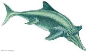 ichthyosaurus 3d model