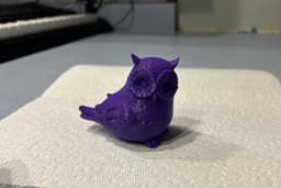 Holiday Barn Owl 3d model