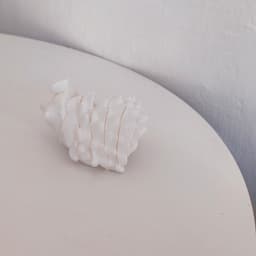Hedgehog Slime 3d model