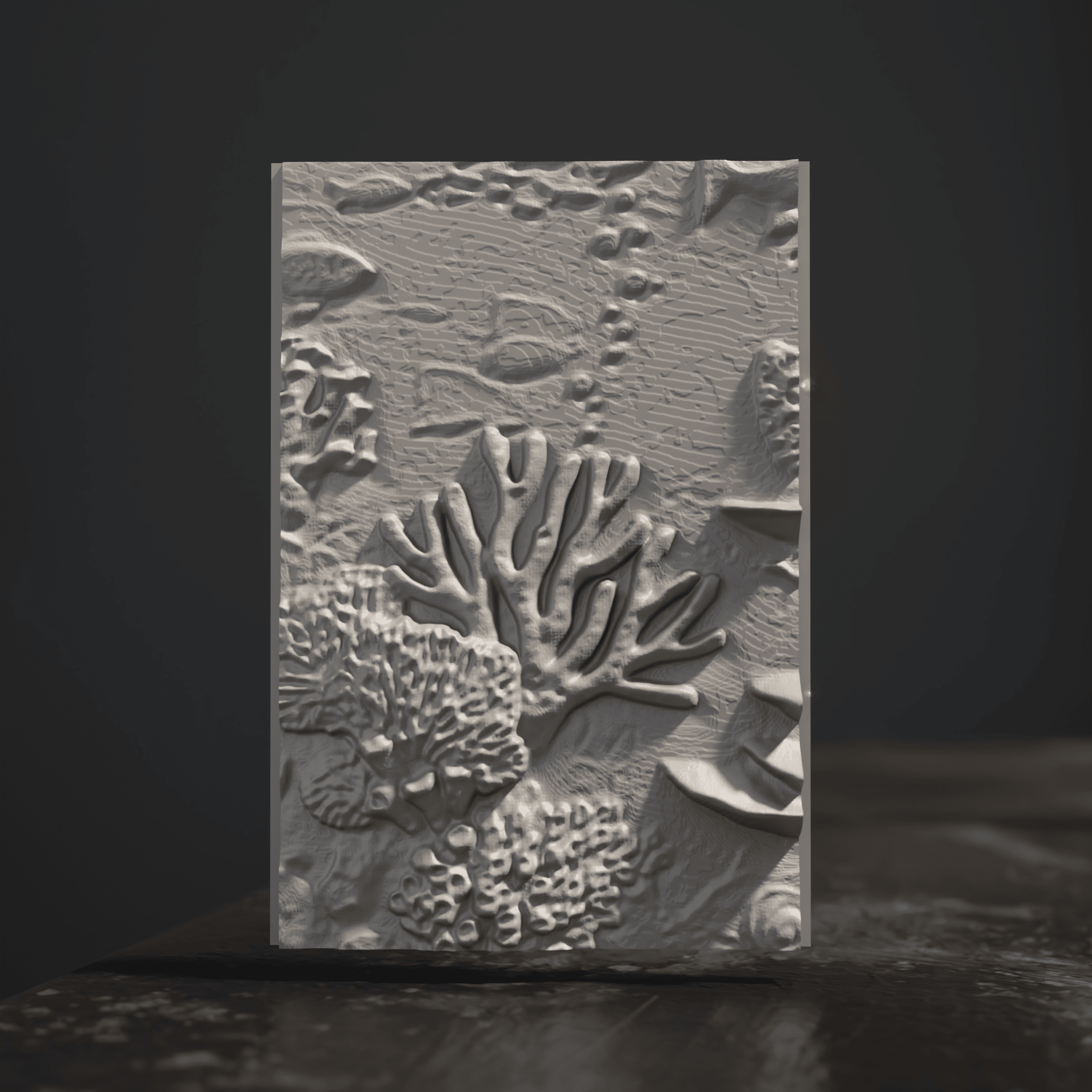Display Box - Model Showcase - TCG Display 3d model