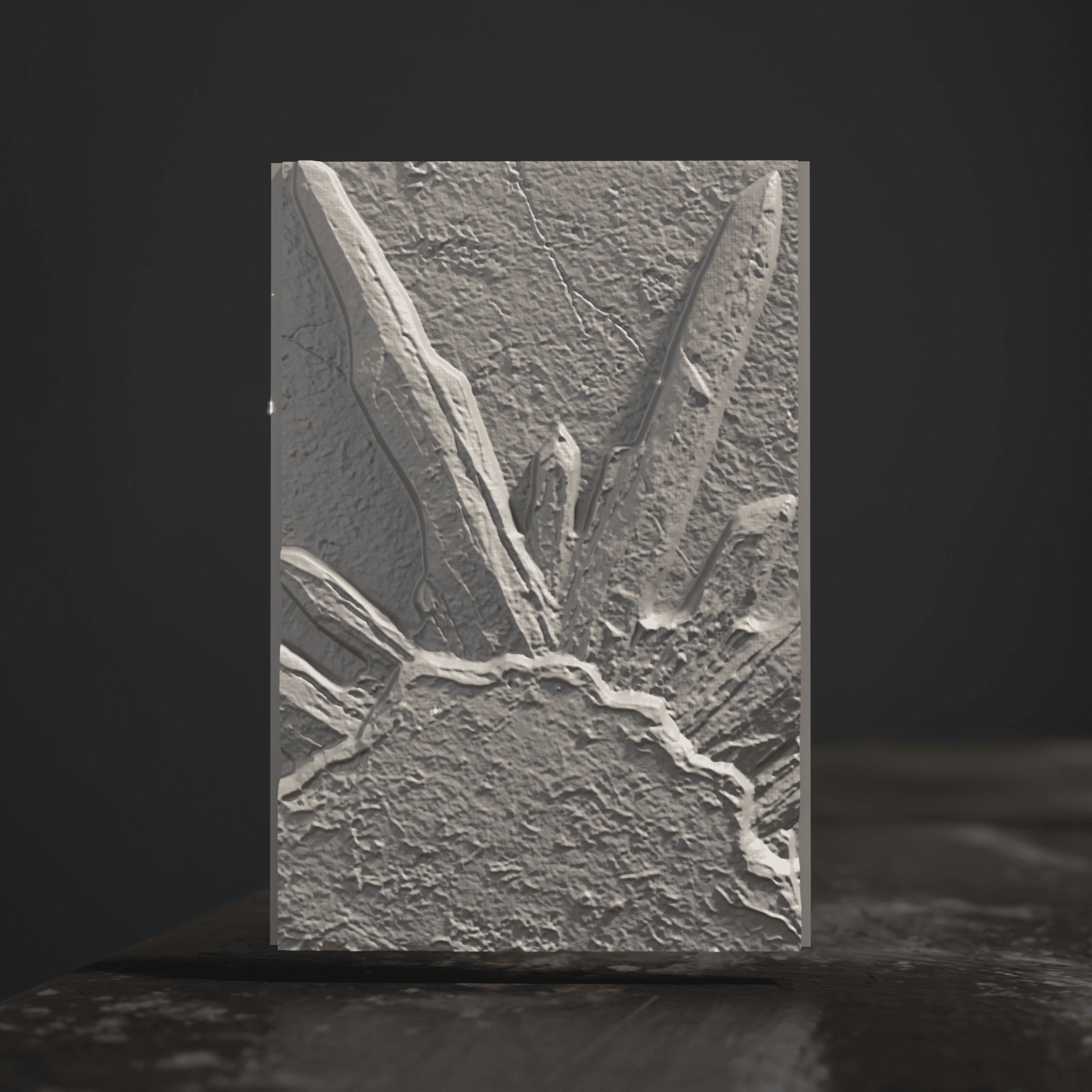 Display Box - Model Showcase - TCG Display 3d model