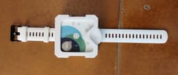 Watch Case Healy 3d model
