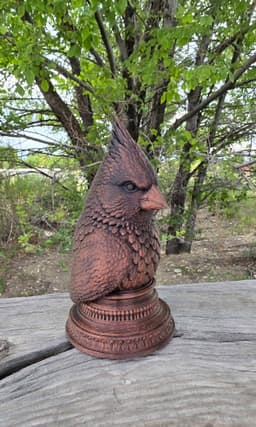 Cardinal Bust 3d model