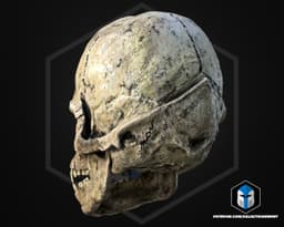 Wookie Skull - 3D Print Files 3d model