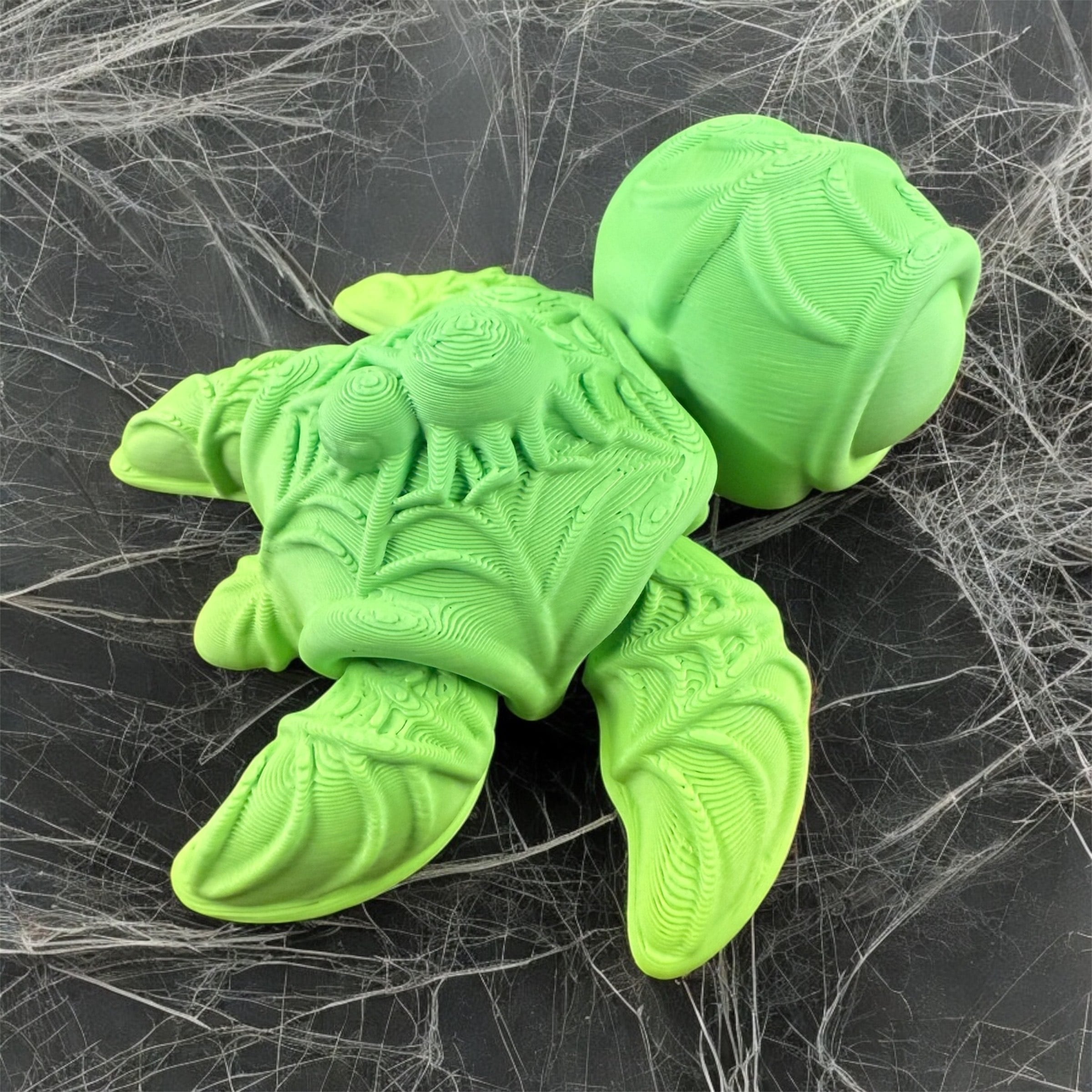 Spider Turtle 3d model