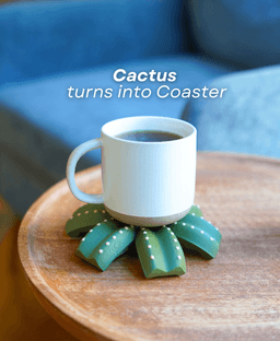 Smactus Cactus Coaster 3d model
