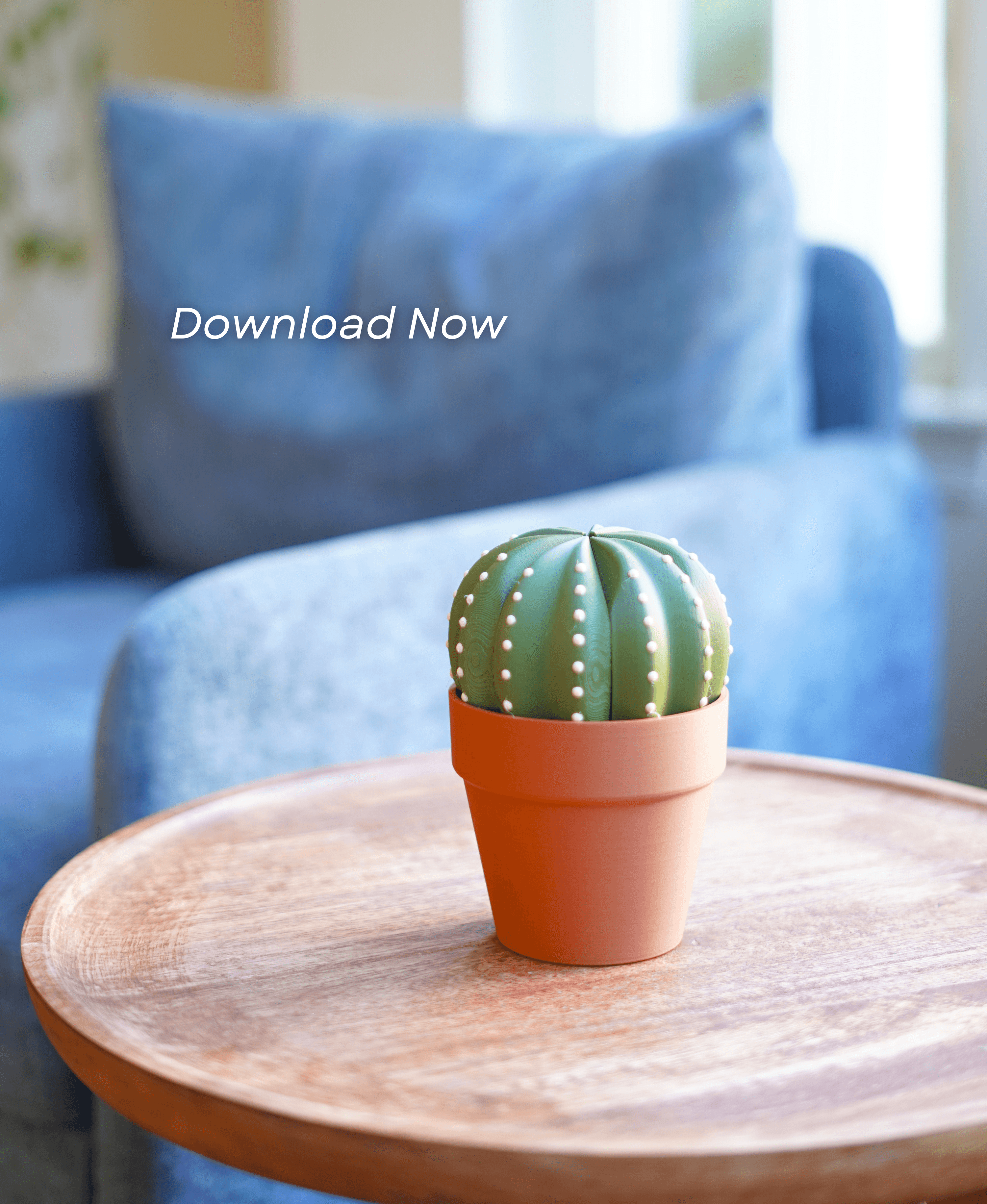 Smactus Cactus Coaster 3d model