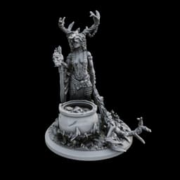 Druid Shaman 3d model
