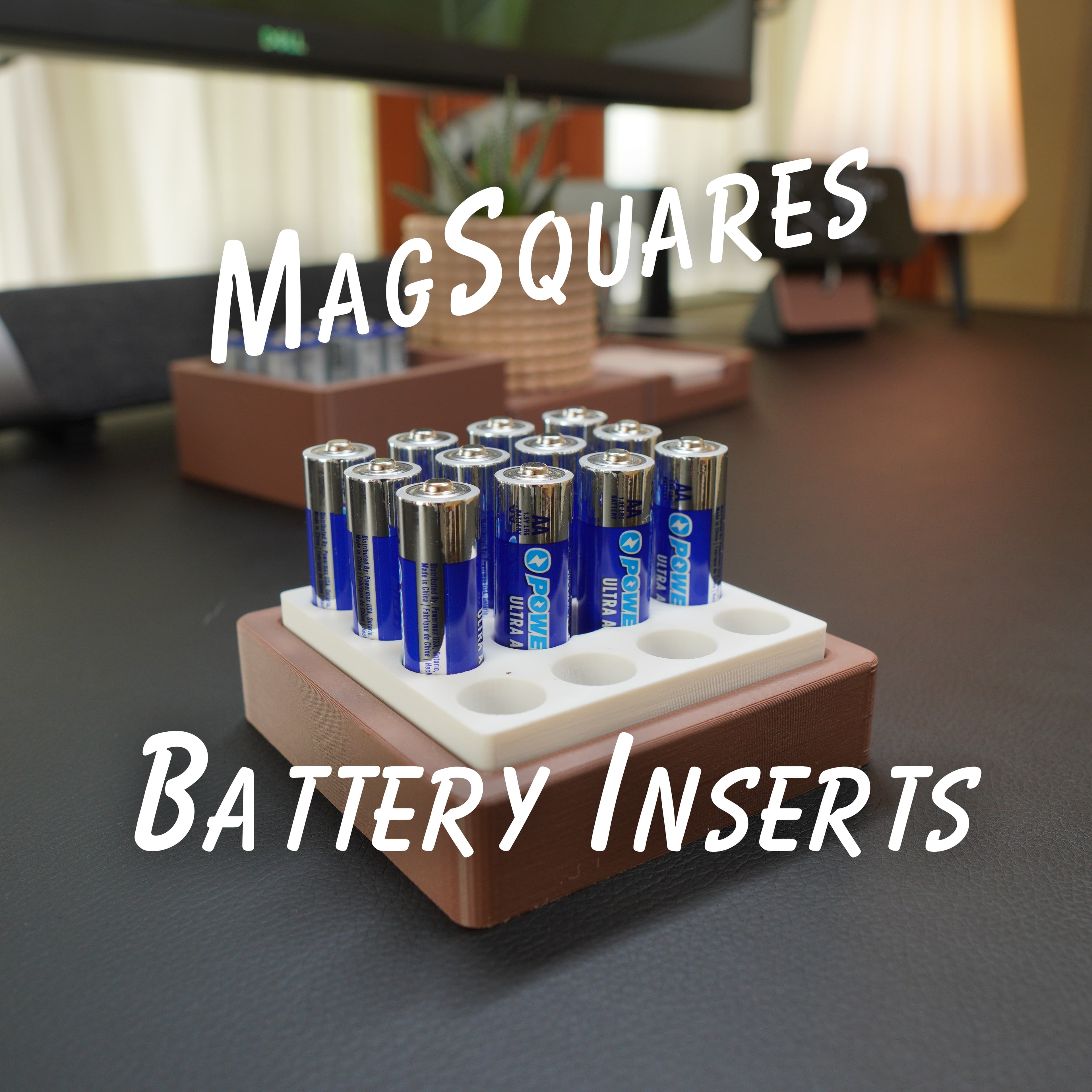 Battery Inserts - MagSquares 3d model