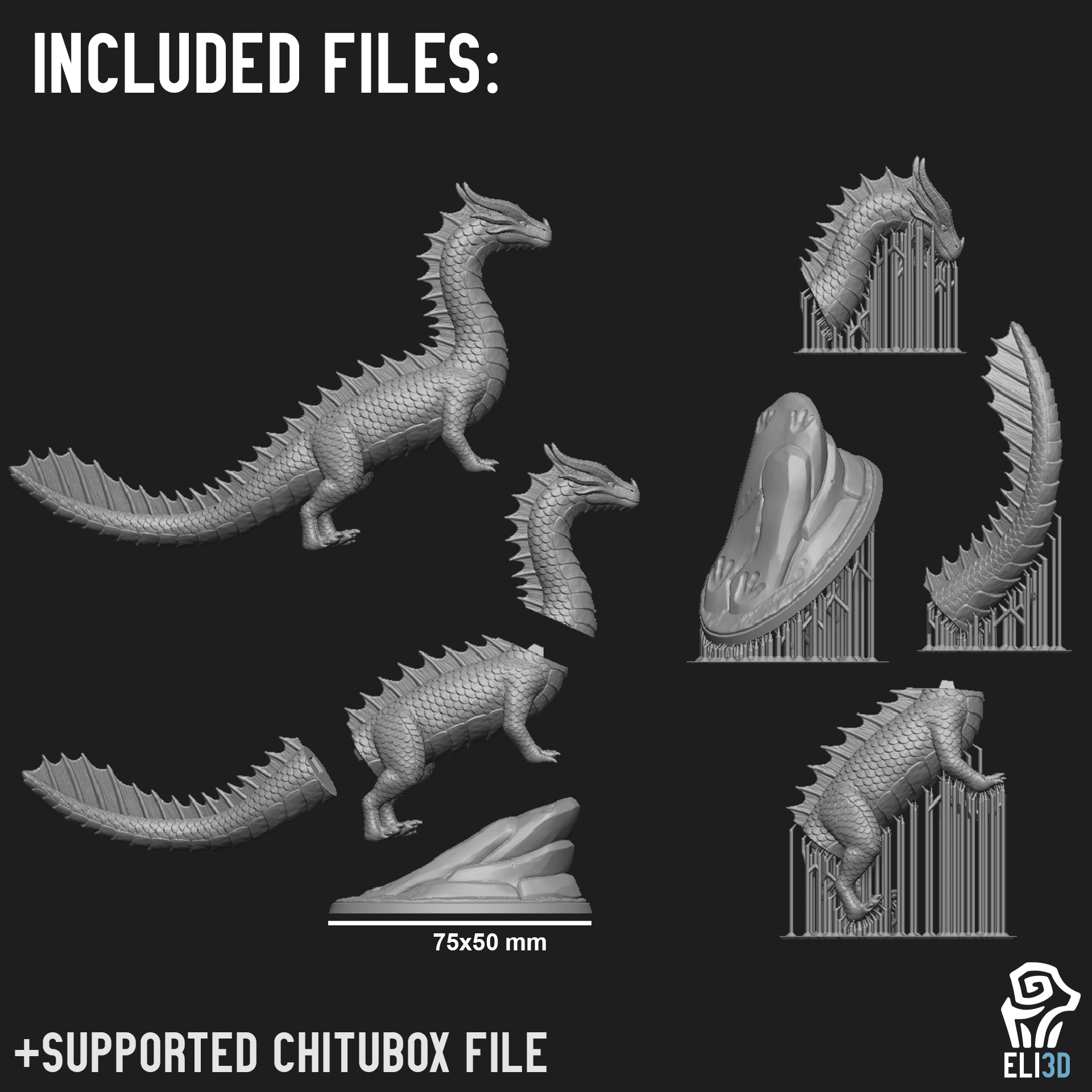 Sea Dragons 3d model