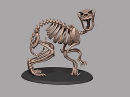 Skelethon - Aesop Rock 3d model