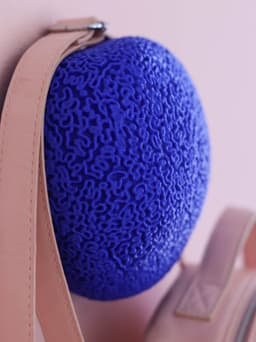 Brain Coral | Wall Mounted 3d model