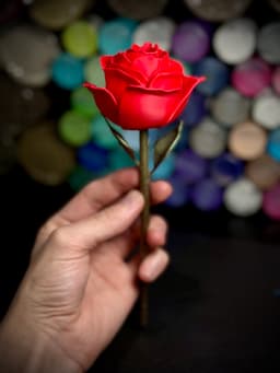 Rose 3d model