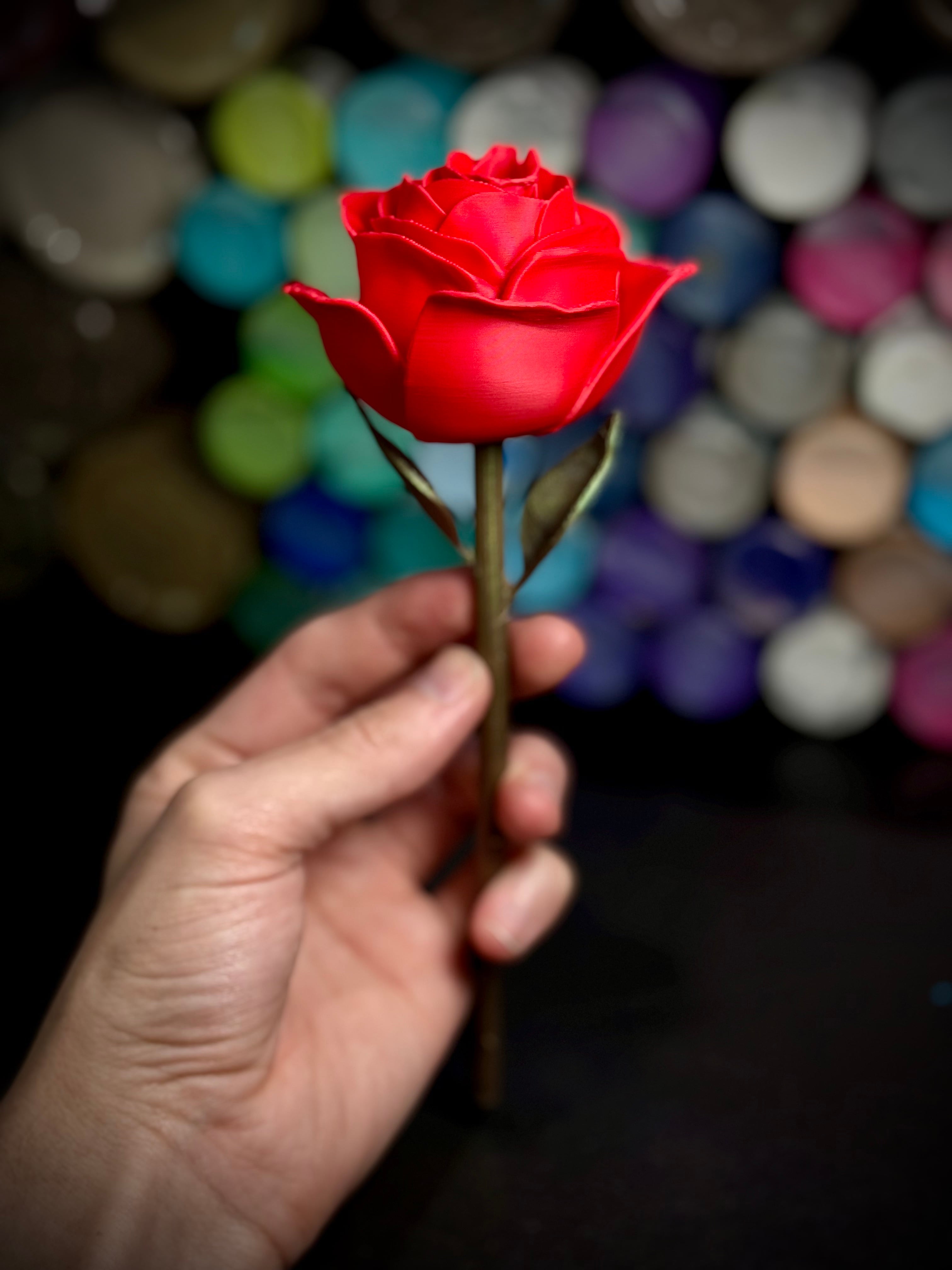 Rose 3d model