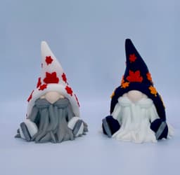 Fall lce Skate Gnome 3d model