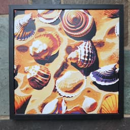 3D Printed Painting - Shells 3d model