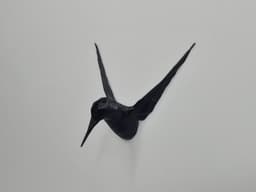 Low Poly Humming Bird Fridge Magnet 3d model