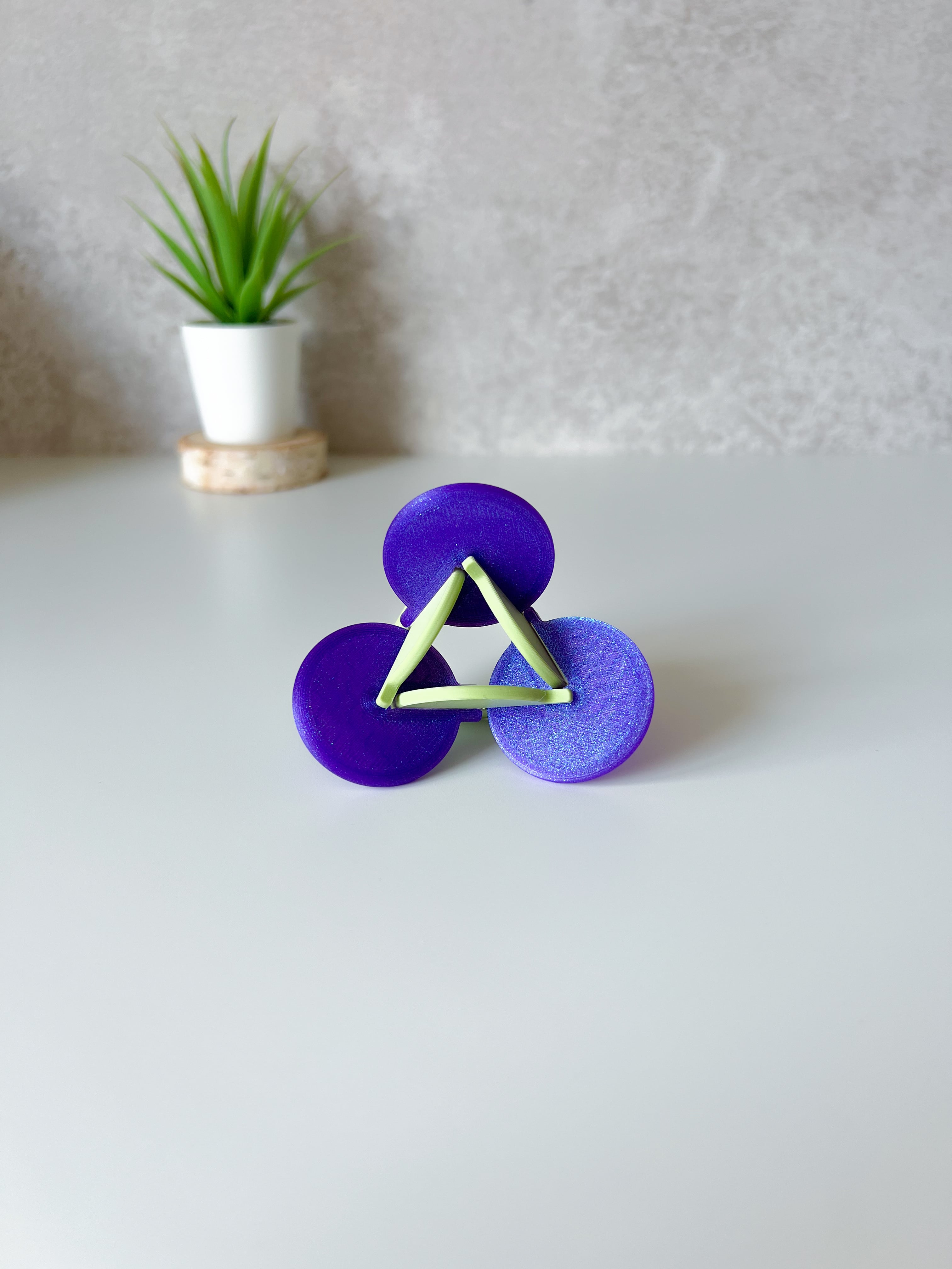 Twister Fidget Toy 3d model