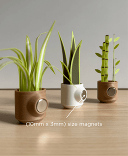 Botanicals, fridge magnets. 3d model