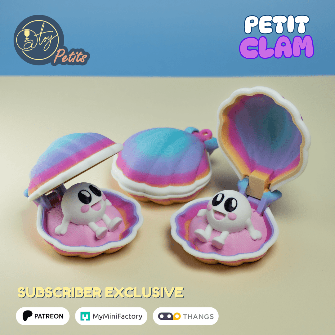 Petit Clam 3d model