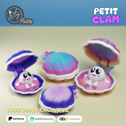 Petit Clam 3d model
