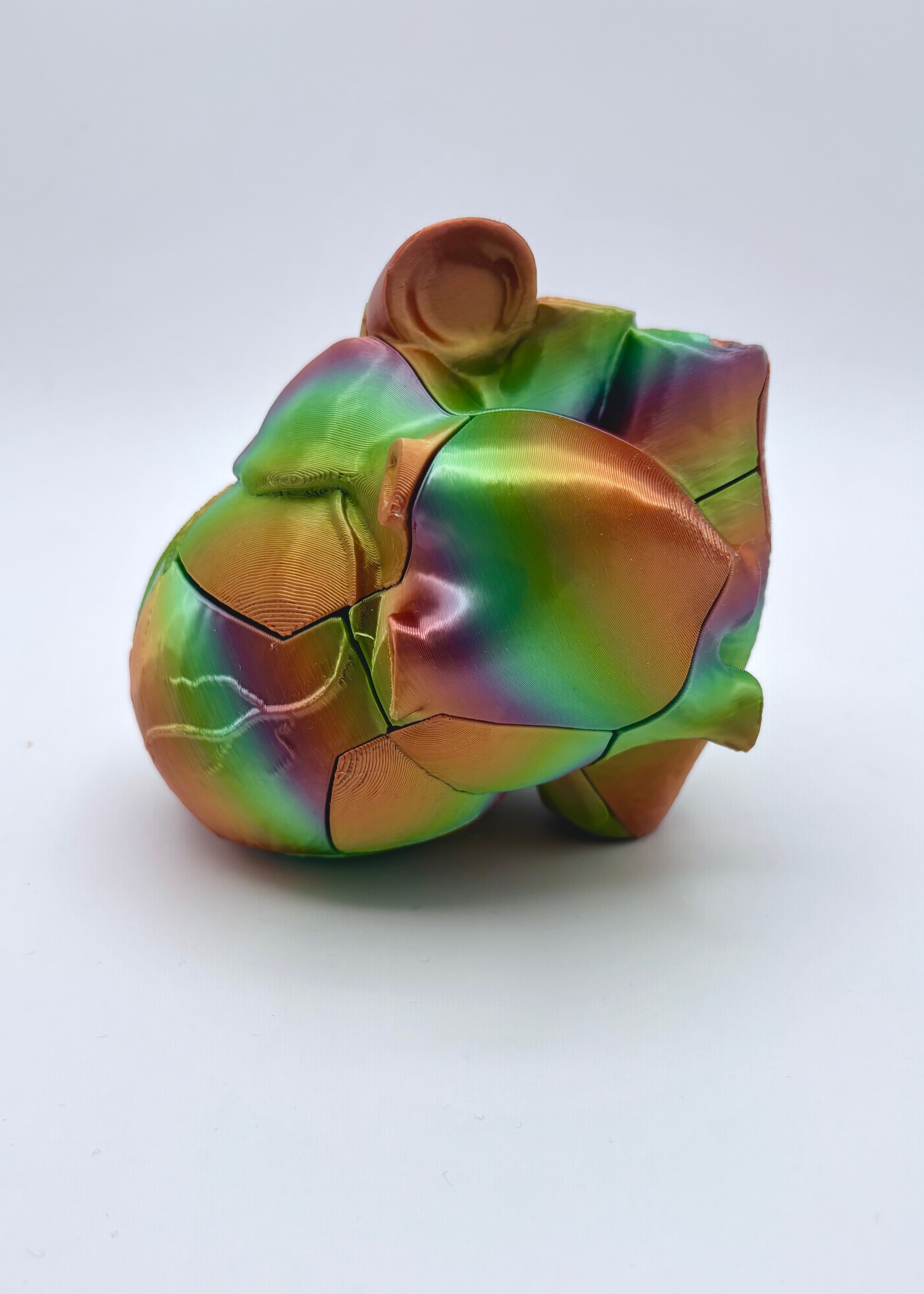 Anatomical Heart Puzzle - Polymaker Panchroma Silk Rainbow Gradient is so fun for this!! - 3d model