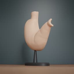 Human Stomach Cross Section Anatomy 3d model