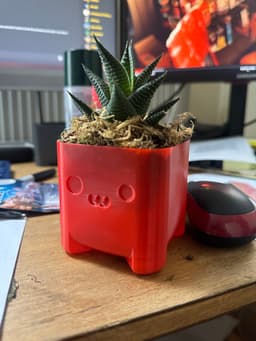 Cute Planter Timo 3d model